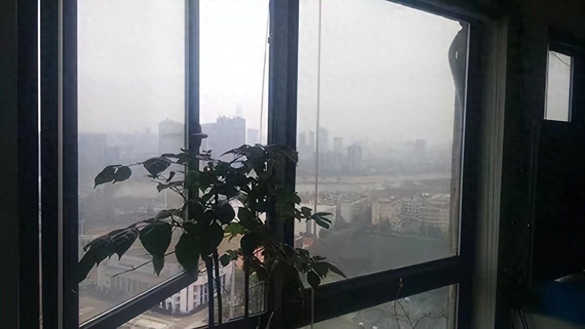 有哪些去甲醛的方法比较可靠？(图1)