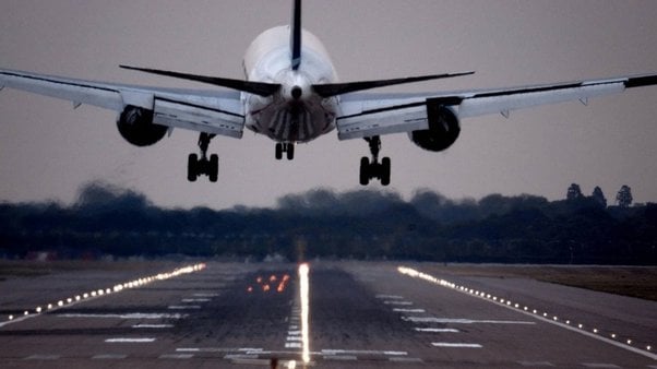 改善空气质量的最佳树木(图6)