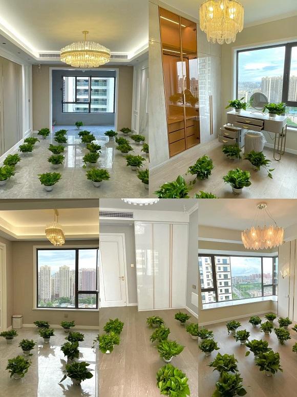 新房“住烂”才深知：甲醛不惧通风，这一“笨拙”招，甲醛荡然无存！(图4)