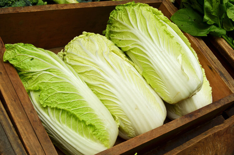 “甲醛大户”被揪出，4种食物含甲醛，有毒还致癌？告诉你真相(图10)